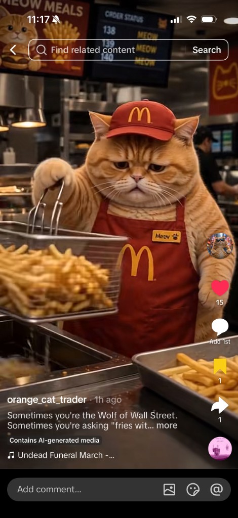 Orange cat working the fryer at MeowDonald's