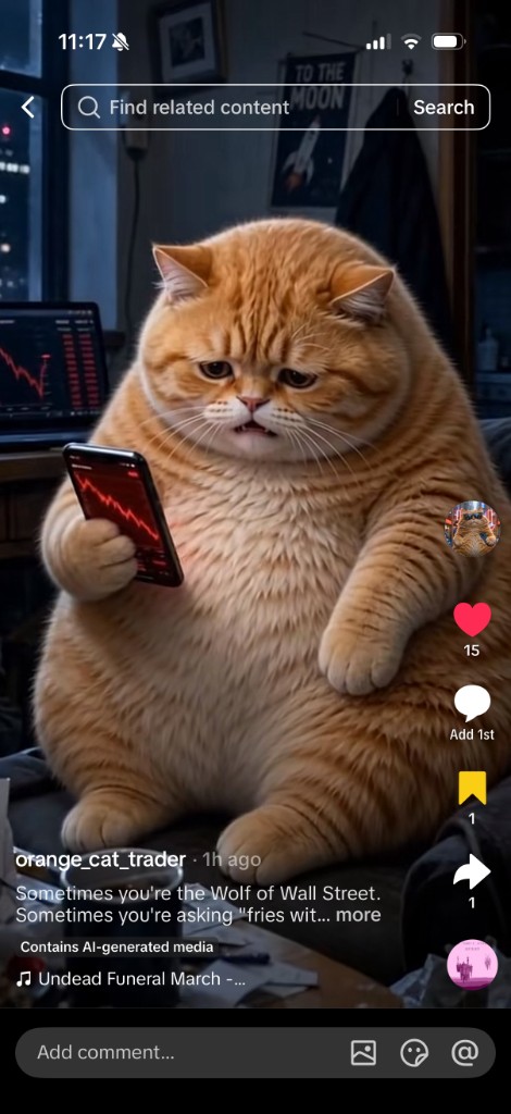 Sad rekt orange cat looking at red chart